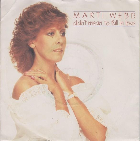 Marti Webb - Didn't Mean To Fall In Love