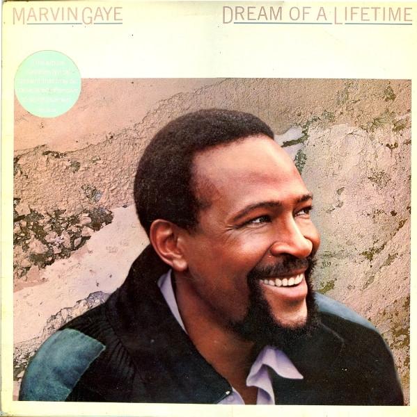 Marvin Gaye - Dream Of A Lifetime